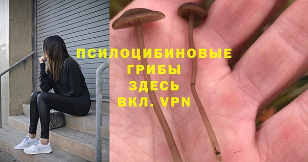 MDMA Алексин