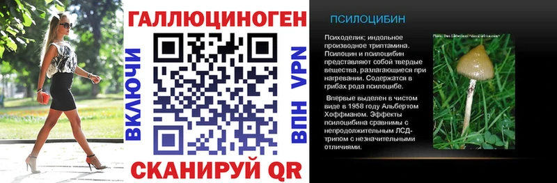 Псилоцибиновые грибы Psilocybe  купить закладку  Дыгулыбгей 
